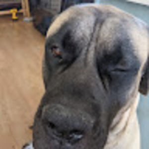 Meet your Posher, Aaselia